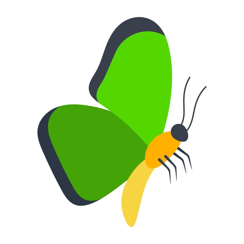 Green Morpho Side View vector