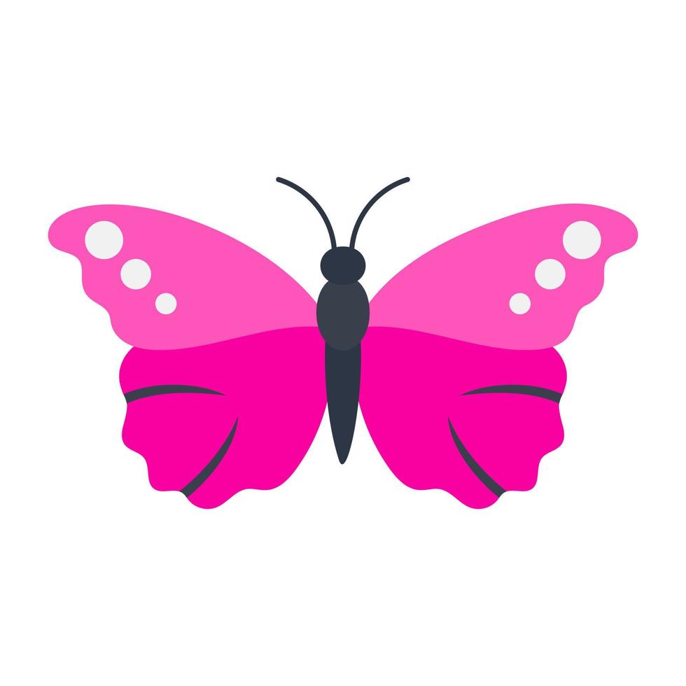 conceptos de mariposa morpho vector
