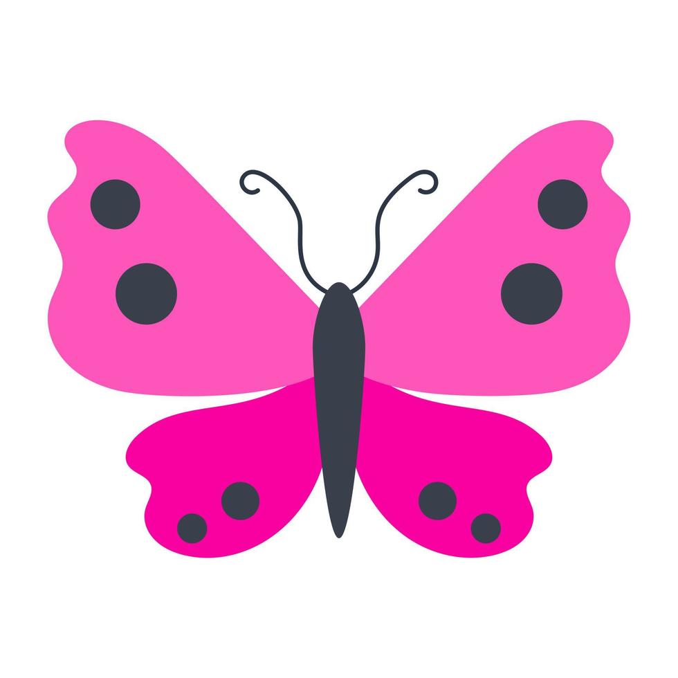 Six Spot  Butterfly vector