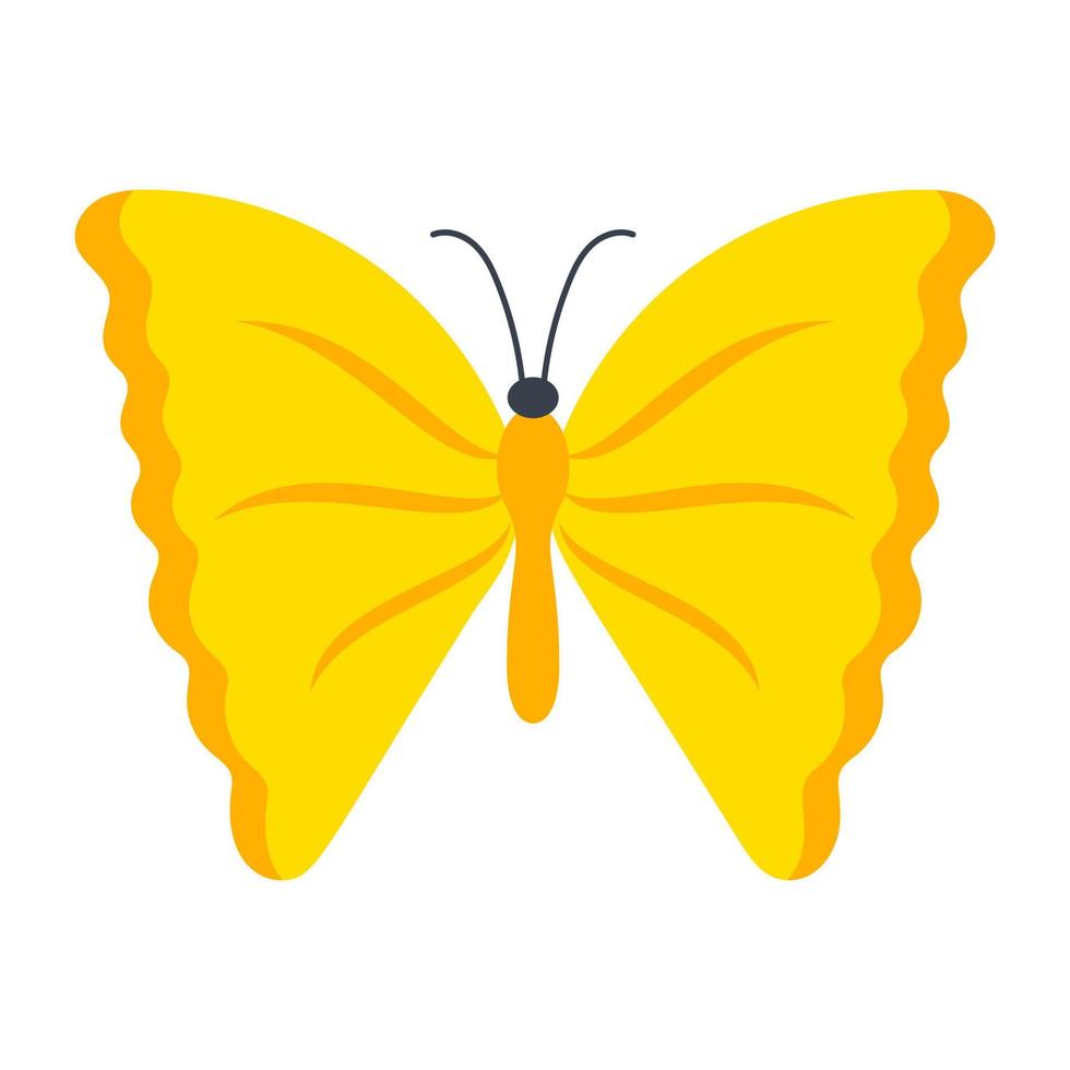 Yellow Angled  Butterfly vector