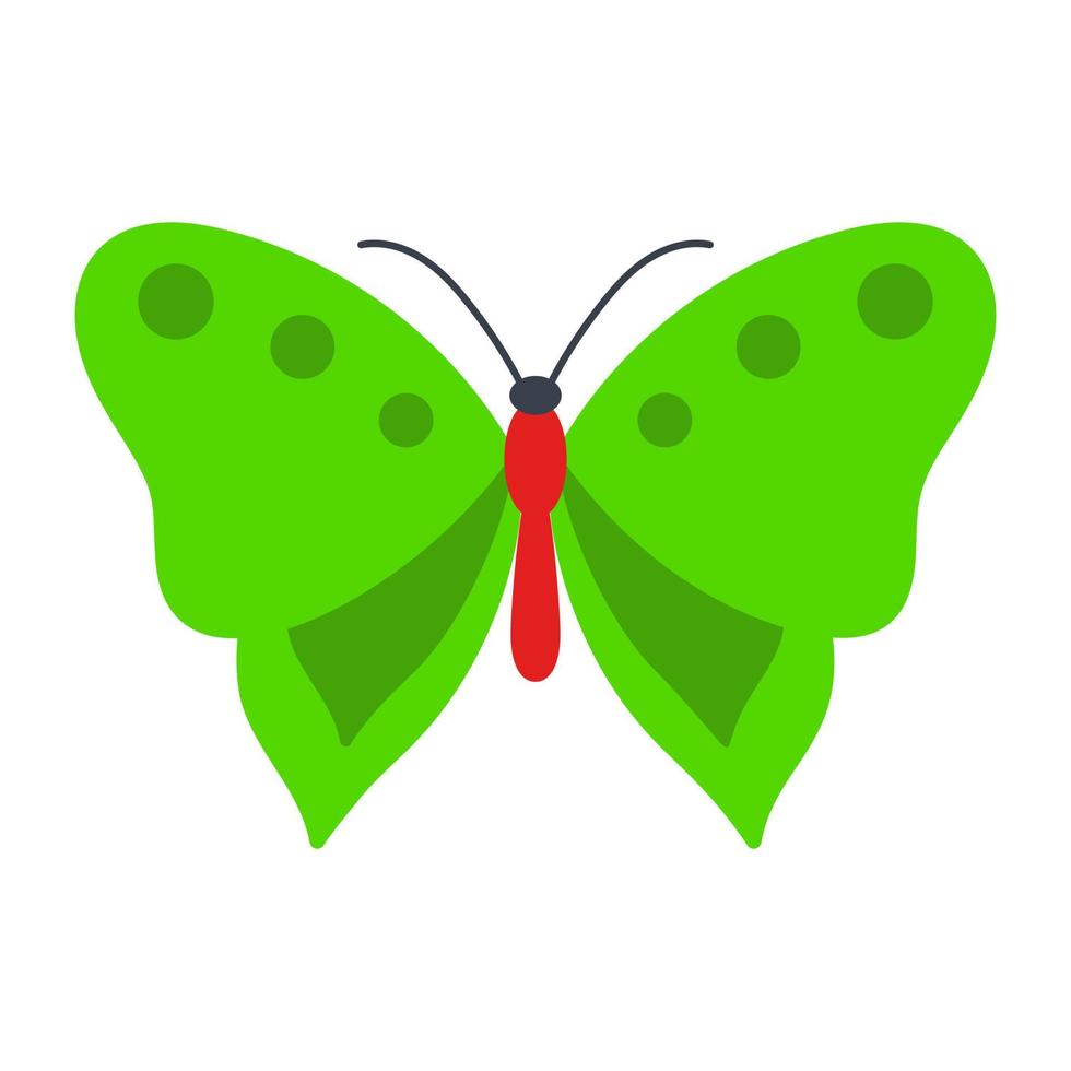 Common Olive Wing Butterfly vector