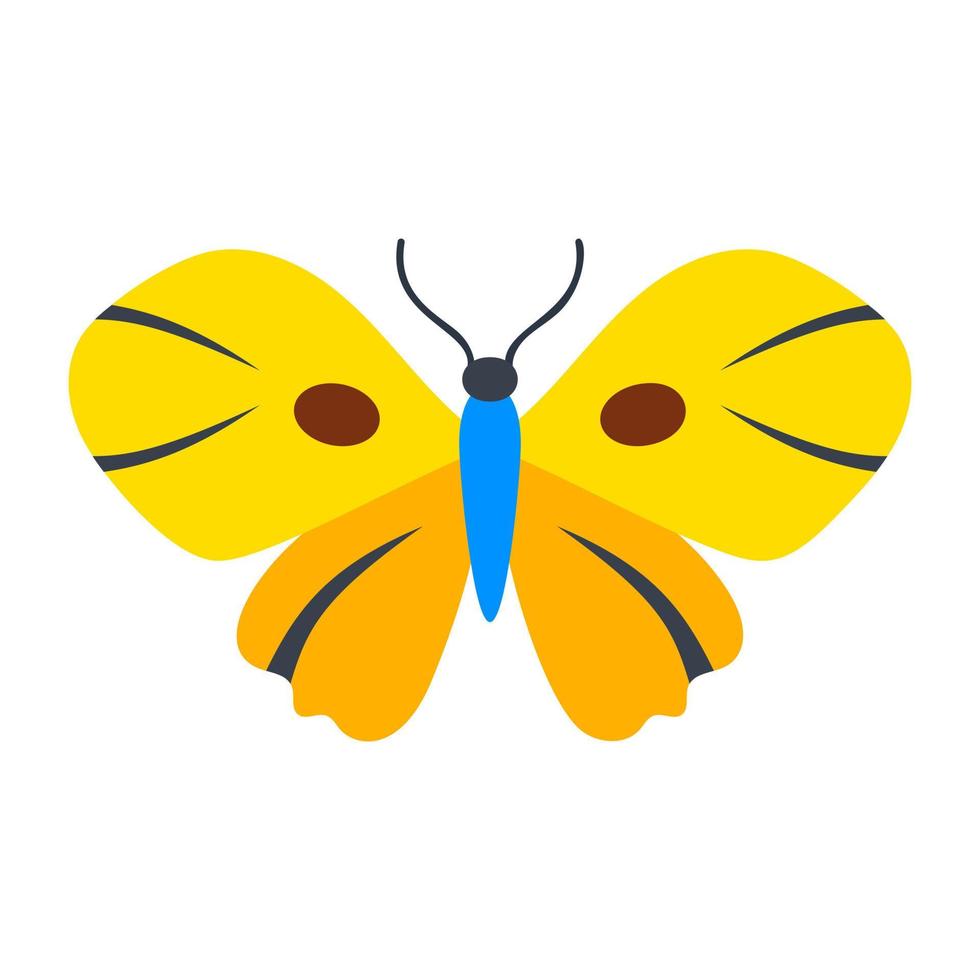 Junonia Almana Butterfly vector