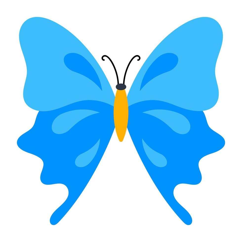 Blue Morpho Butterfly 4766390 Vector Art at Vecteezy