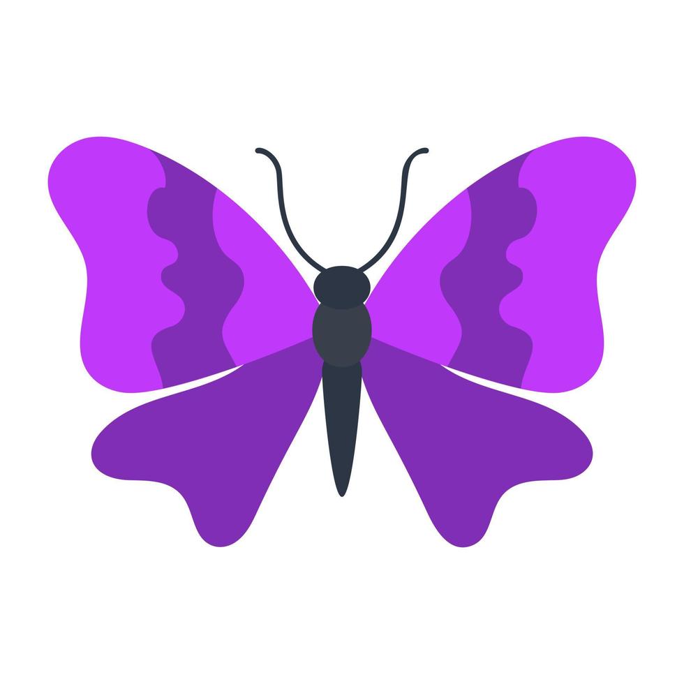 Theea Quereus Butterfly vector