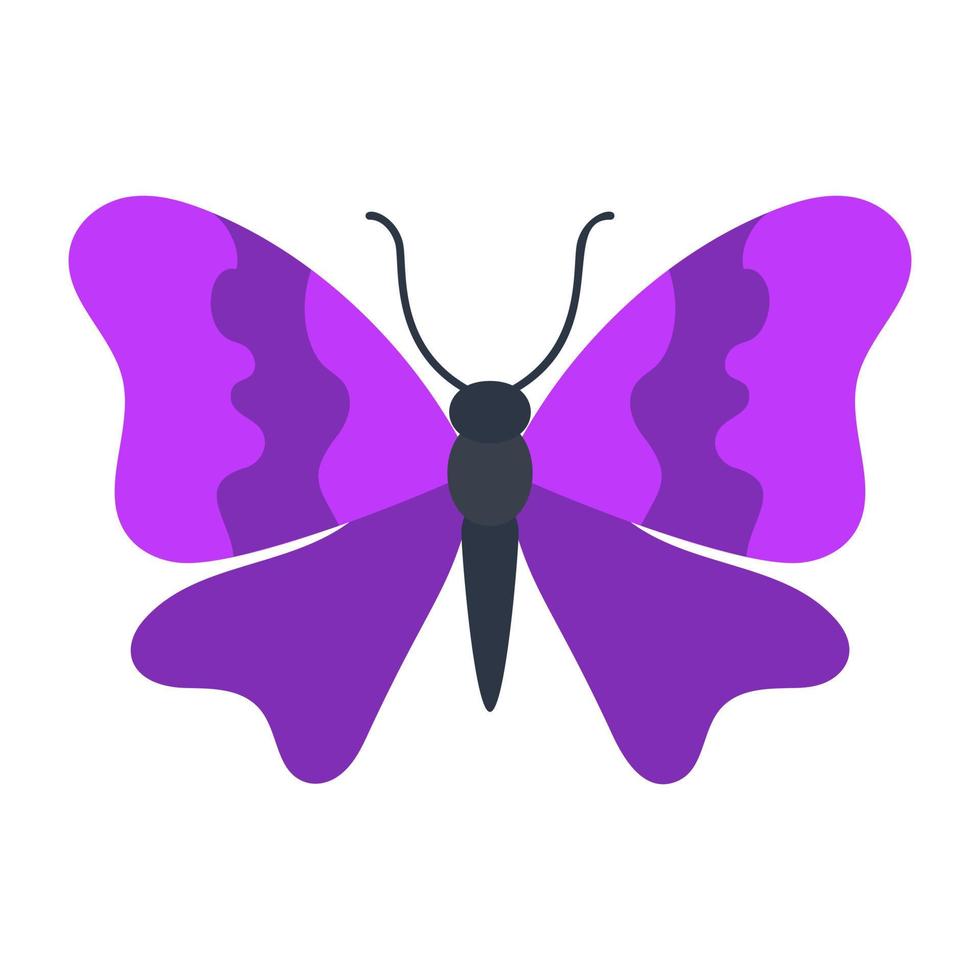 theea quereus butterfly vector