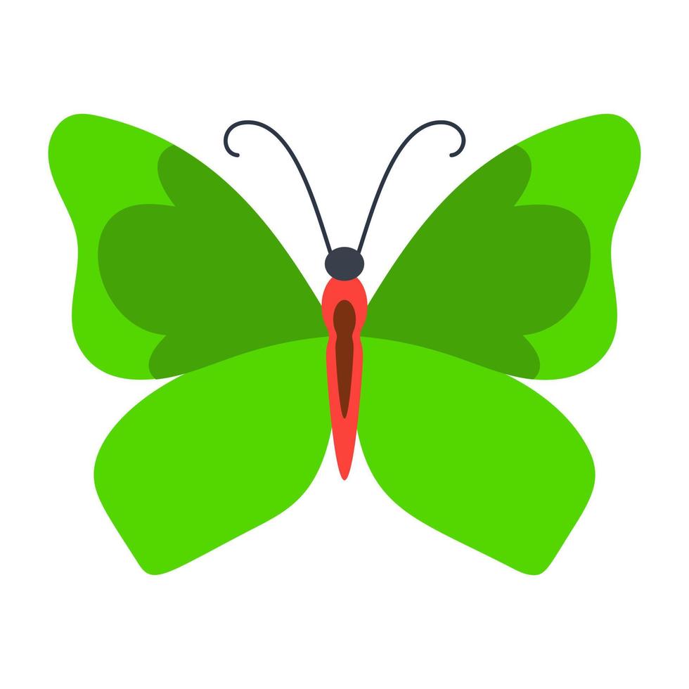 Kallima Inachus Butterfly vector