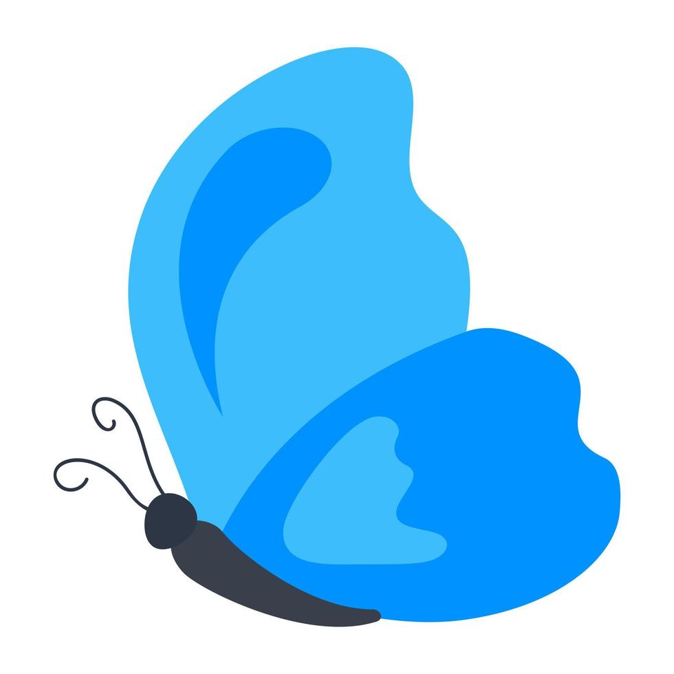 Common Blue Butterfly vector