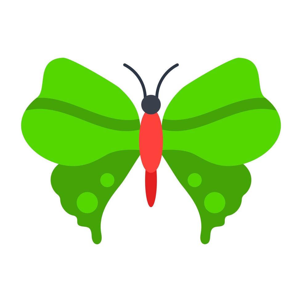 Kallima Inachus Butterfly vector