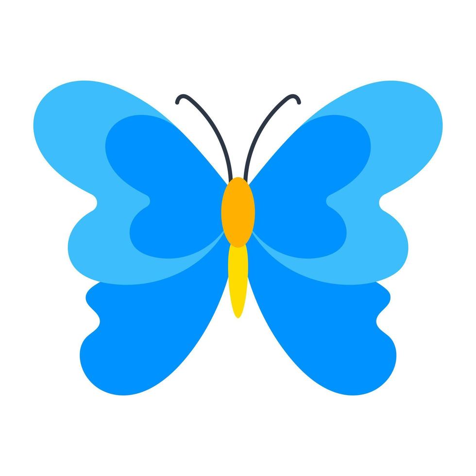 Flower Butterfly Concepts vector