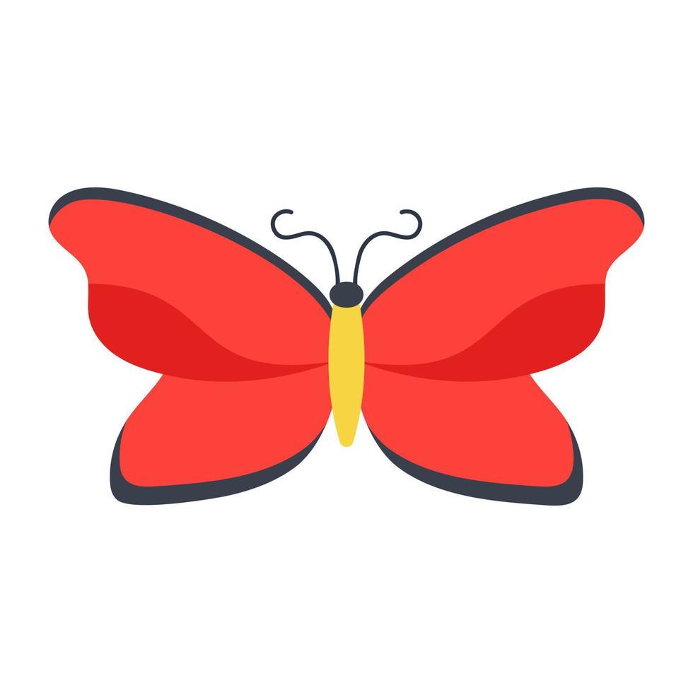 Malay Lacewing Butterfly vector