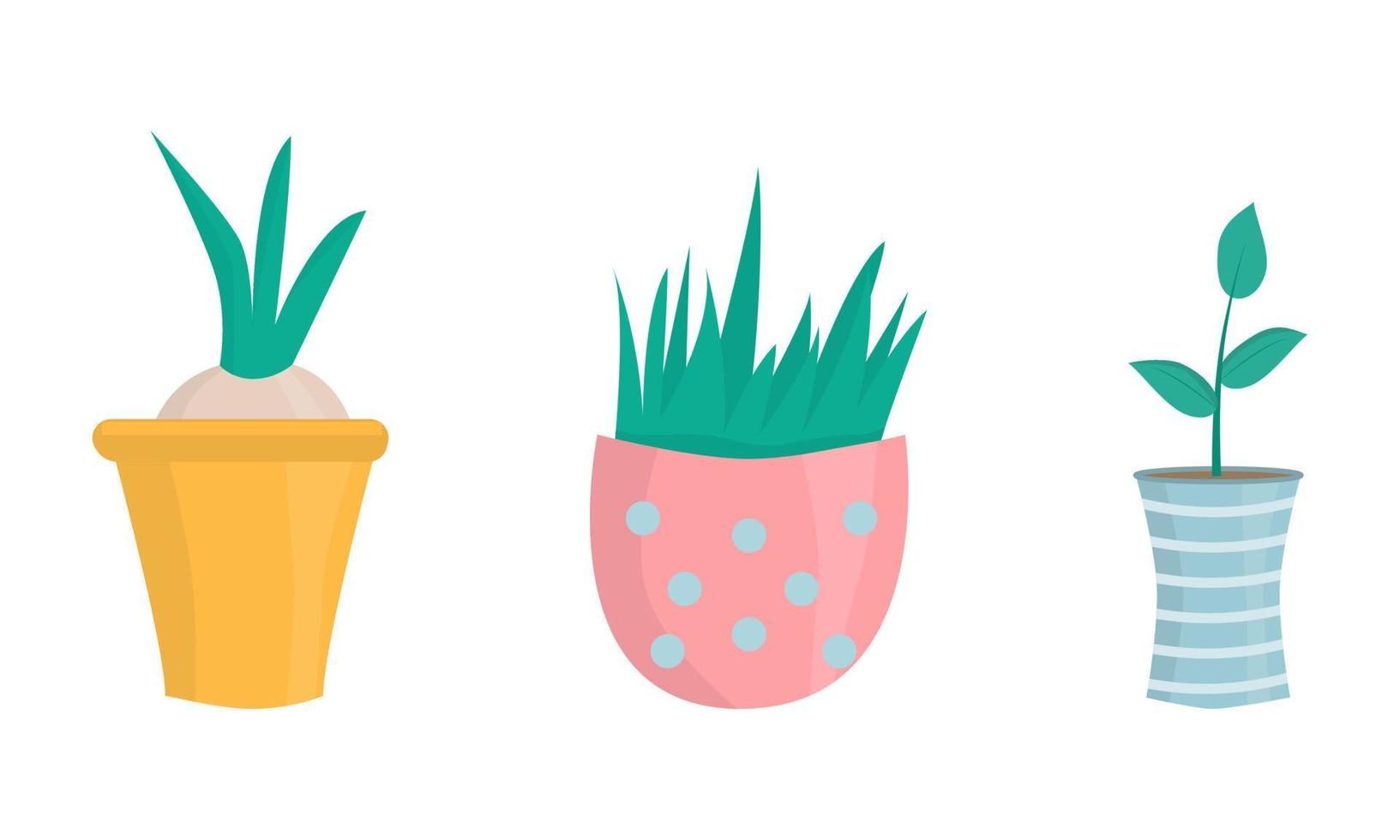 Set with plant in cute yellow pink and blue pot Flat vector isolated illustration