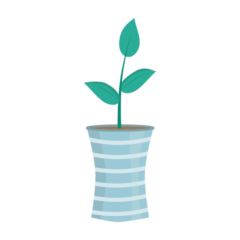 Plant in cute pot Flat vector illustration