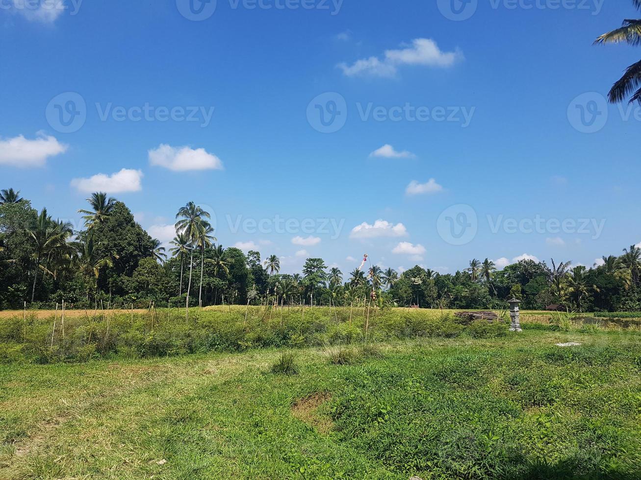 green forest landscape Nature park Mountain valley road landscape Colorful autumn landscape and Beauty of nature concept photo