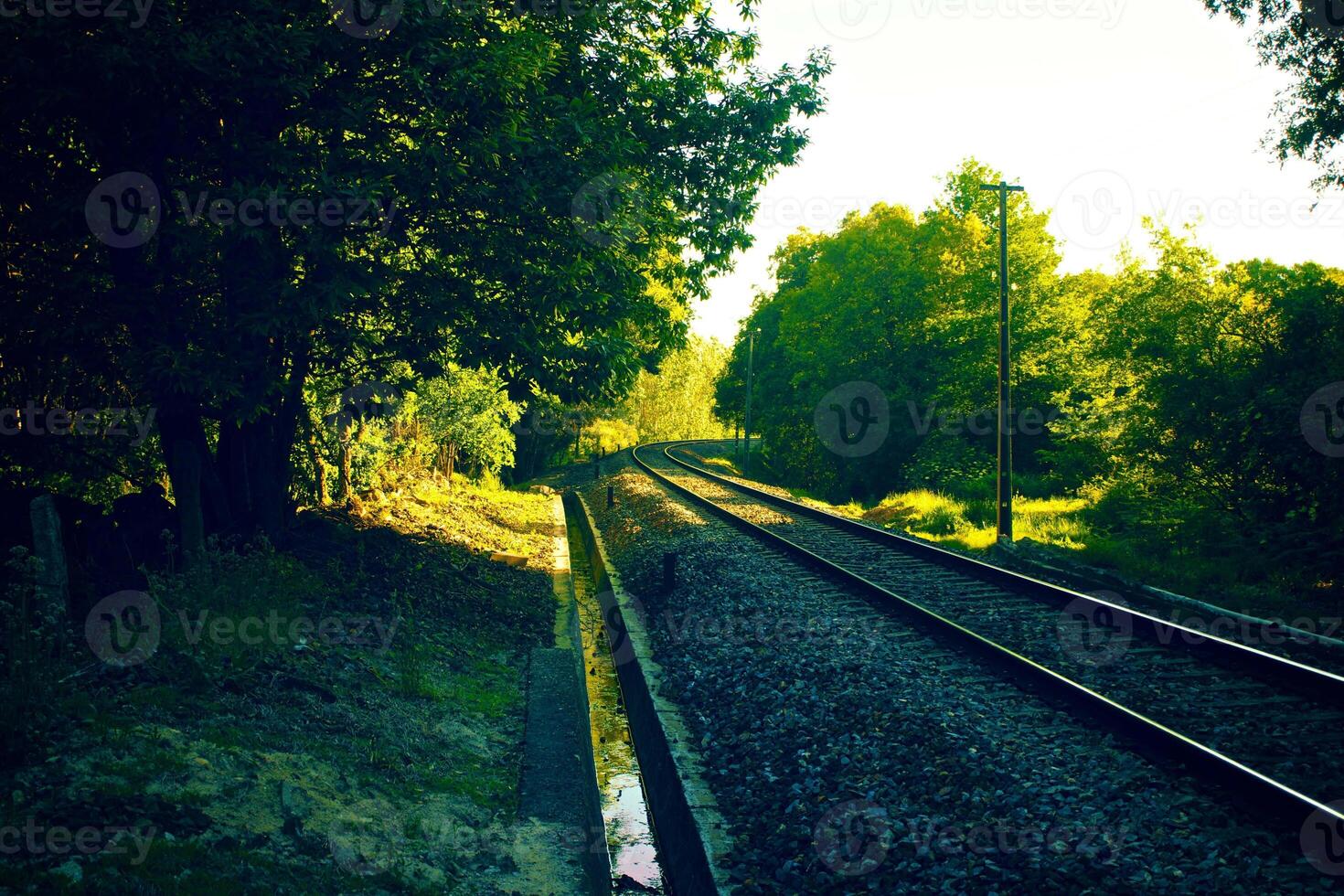 green in the road track beautiful Road turning in the hills and Mountain road grassland road in the evening in. photo