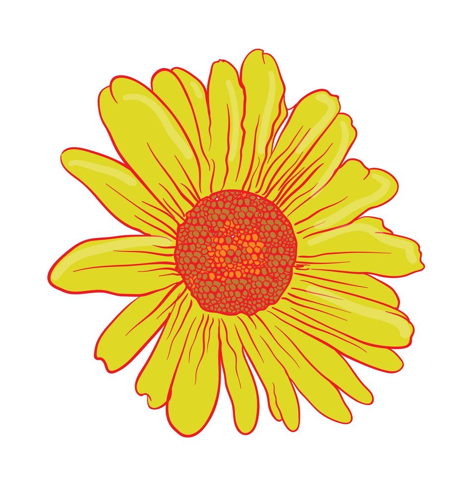 arreglo floral ilustrado de flores vector