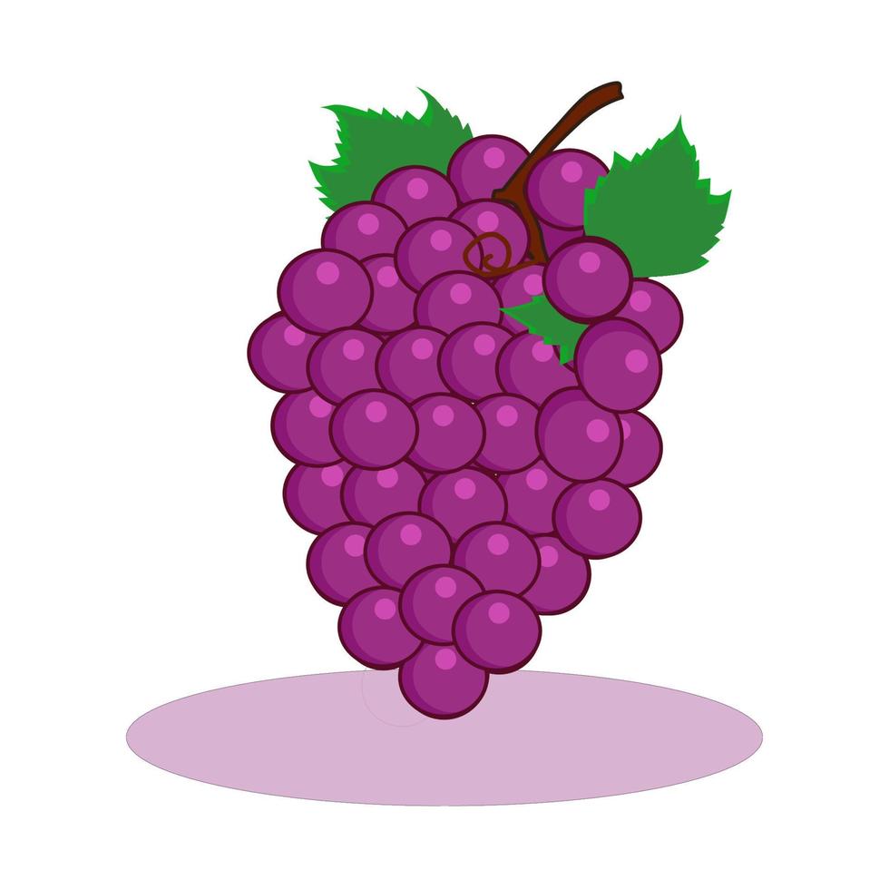 Gráfico de vector de ilustración de uva fresca, buena para brosur, productos de salud para niños, productos de nutrición, libros para niños, etc.