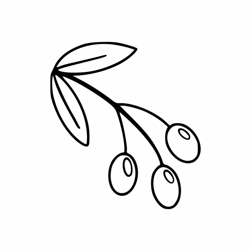 A sprig of olives in the style of a doodle. Vector icon with olives. Vector sketch in the style of hand drau.