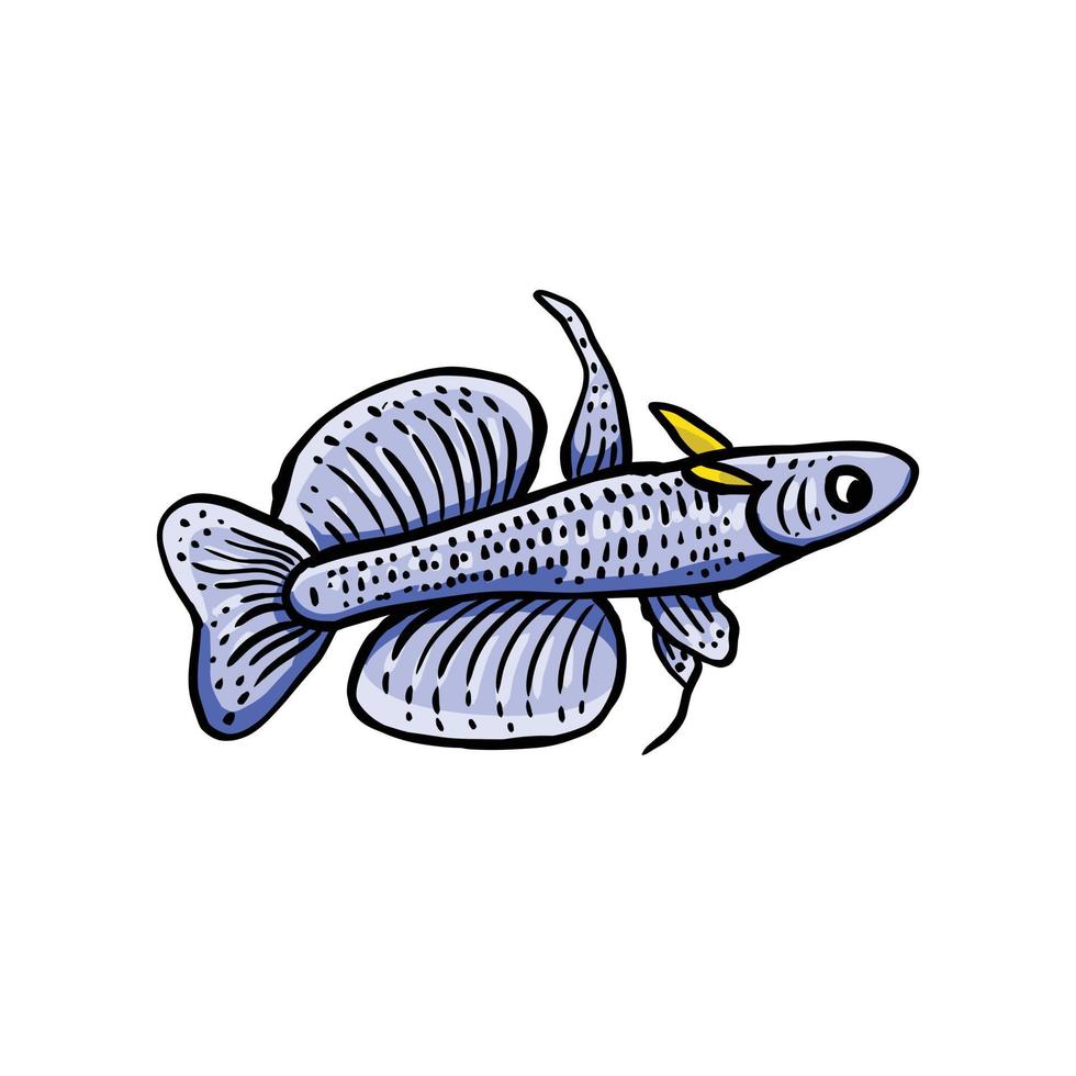 Diseño vectorial de peces decorativos únicos o adecuados para el logotipo de la tienda de peces ornamentales, etc. vector