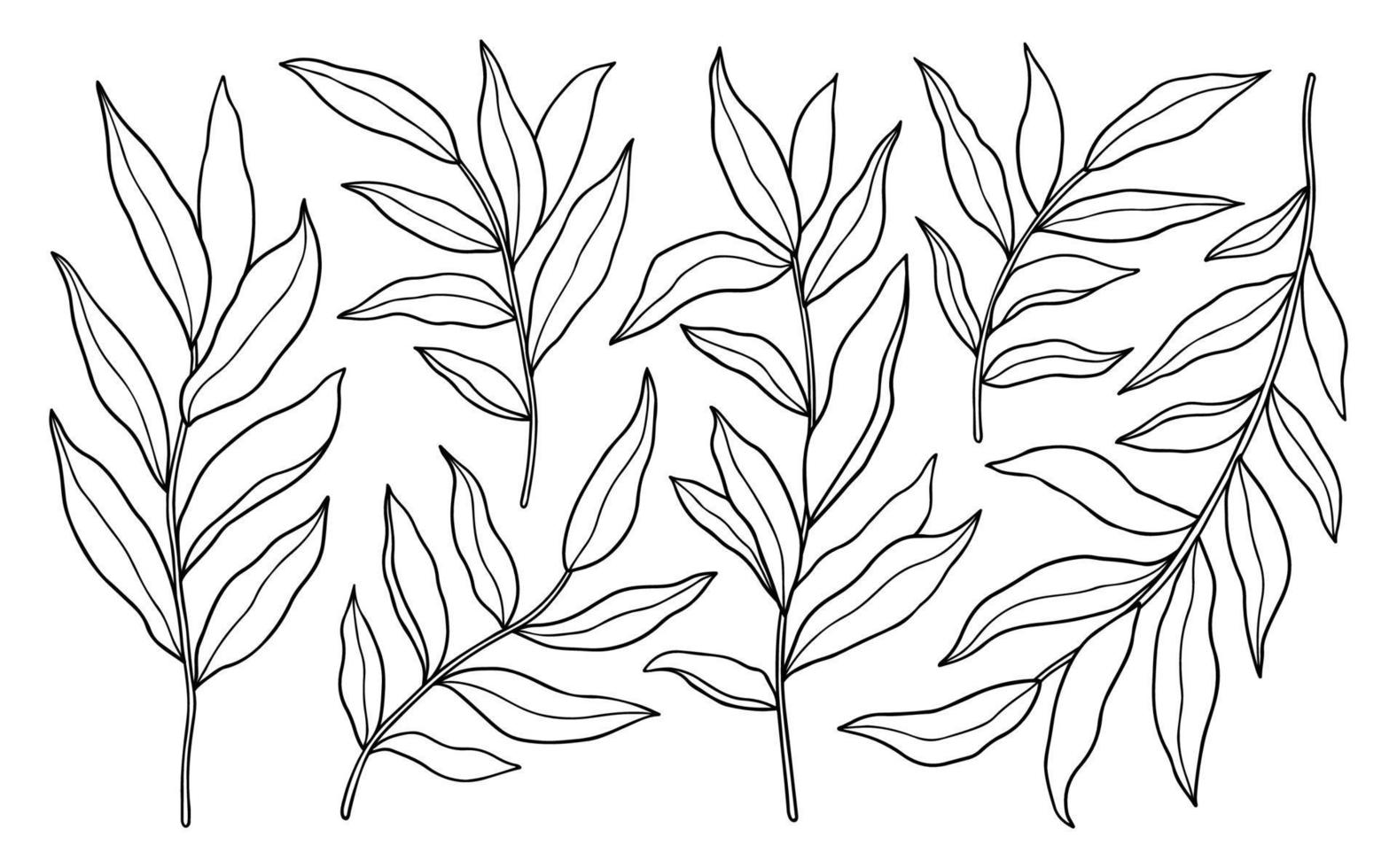 Set of abstract twigs with leaves isolated on a white background. Vector hand-drawn illustration in outline style. Perfect for cards, logo, decorations, invitations, cosmetic designs.