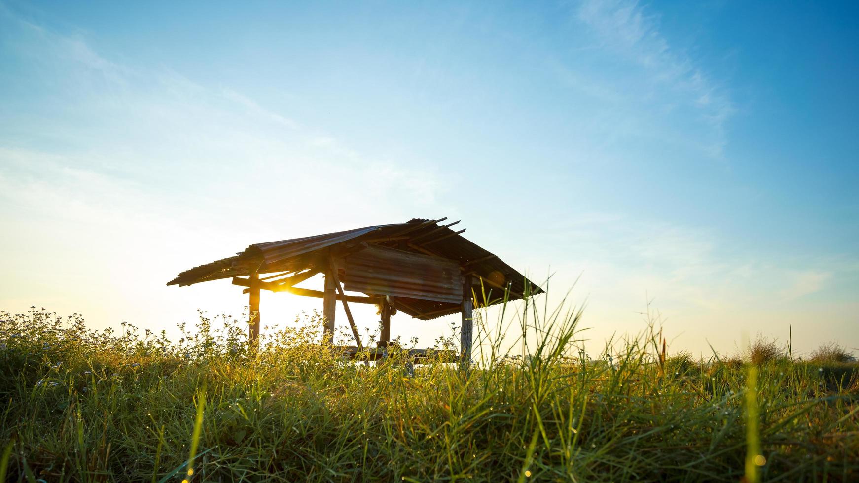 A small hut in the field in the morning photo