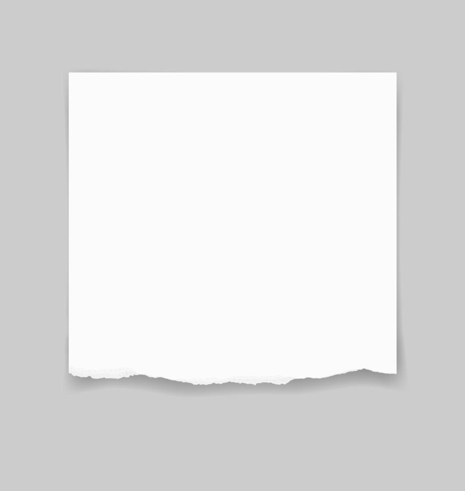 Torn paper edges for background. Ripped paper texture background with area for copy space. Vector. vector