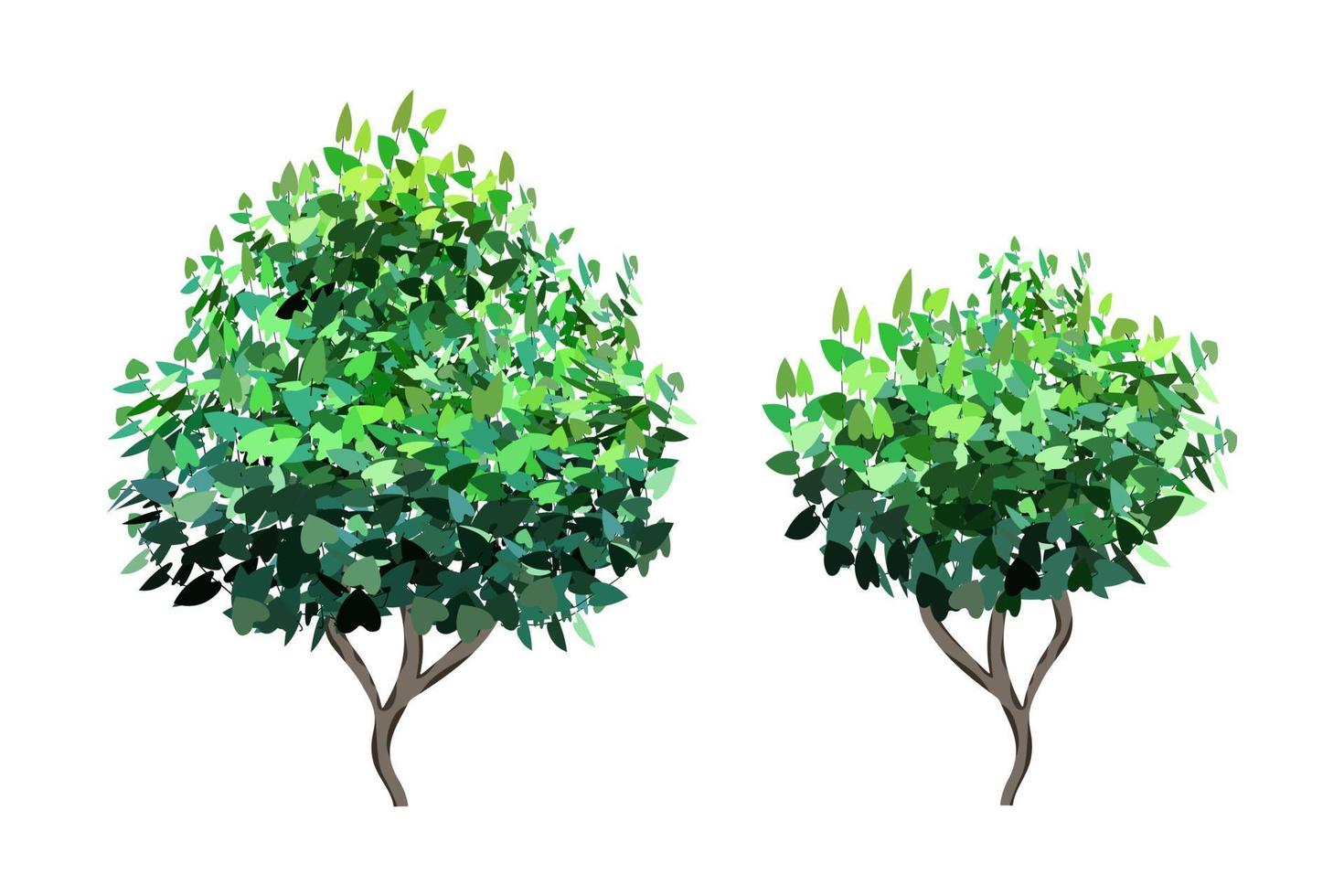 Planta verde ornamental en forma de seto.Arco de ivy.Arbusto de jardín realista, arbusto de temporada, boj, follaje de arbusto de corona de árbol. vector