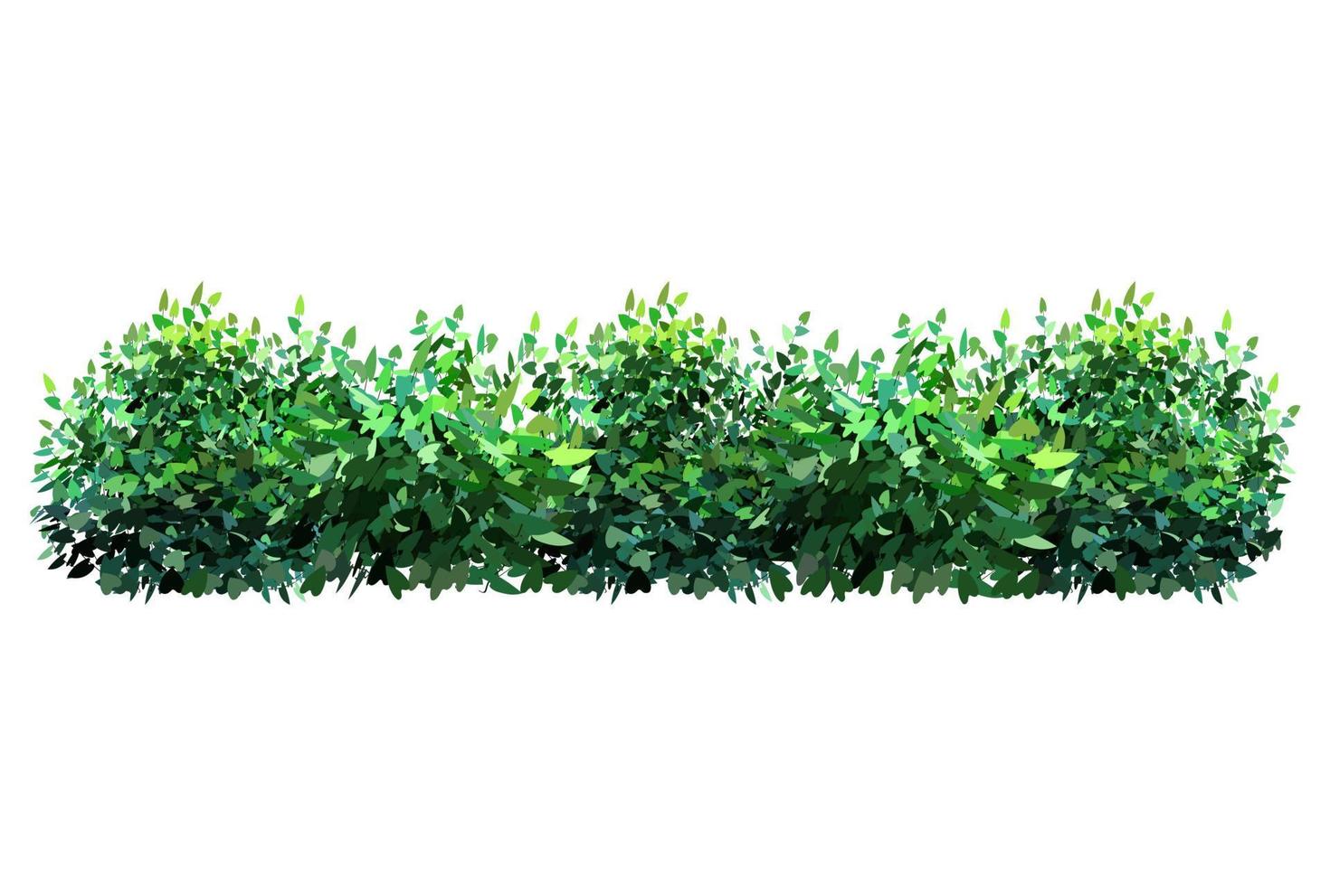 Ornamental green plant in the form of a hedge.Ivy arch.Realistic garden shrub, seasonal bush, boxwood, tree crown bush foliage. vector