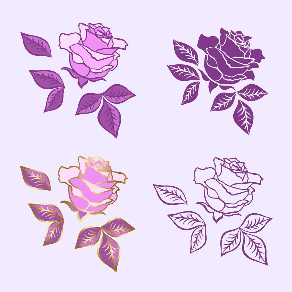 Rose flower set. Vector options for the image of color, and contour. Design elements isolated from the background.