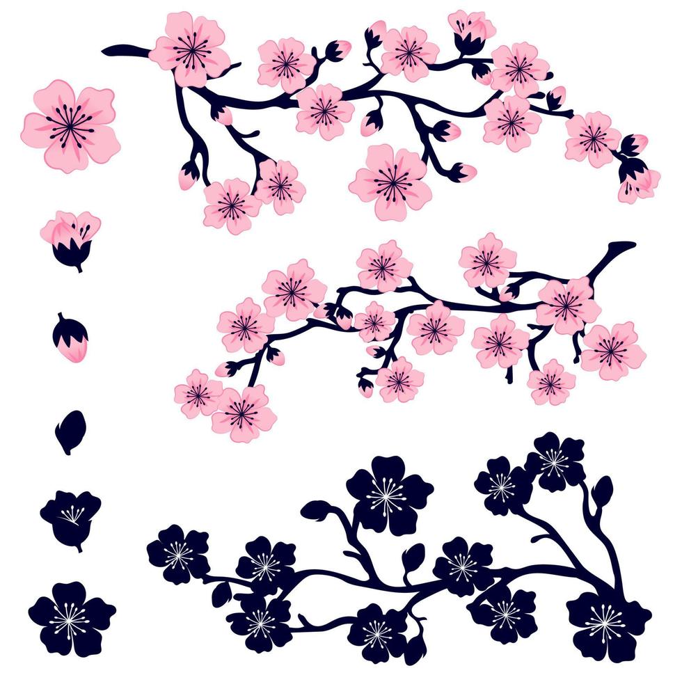 Set of pink sakura flowers. Vector image of a branch of a blossoming tree, flowers, buds and
