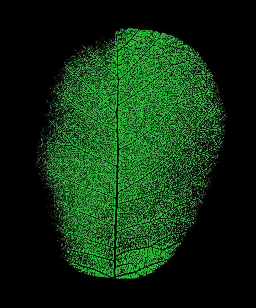 Huella de hoja de árbol verde aislada sobre fondo negro. vector