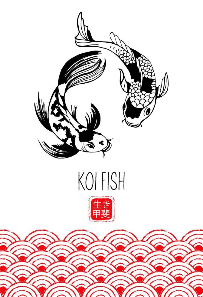 pez koi. carpa japonesa. ilustración vectorial sobre un fondo blanco. vector