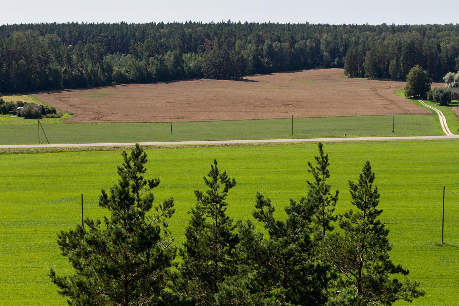 paisaje rural con campo verde y bosque. foto