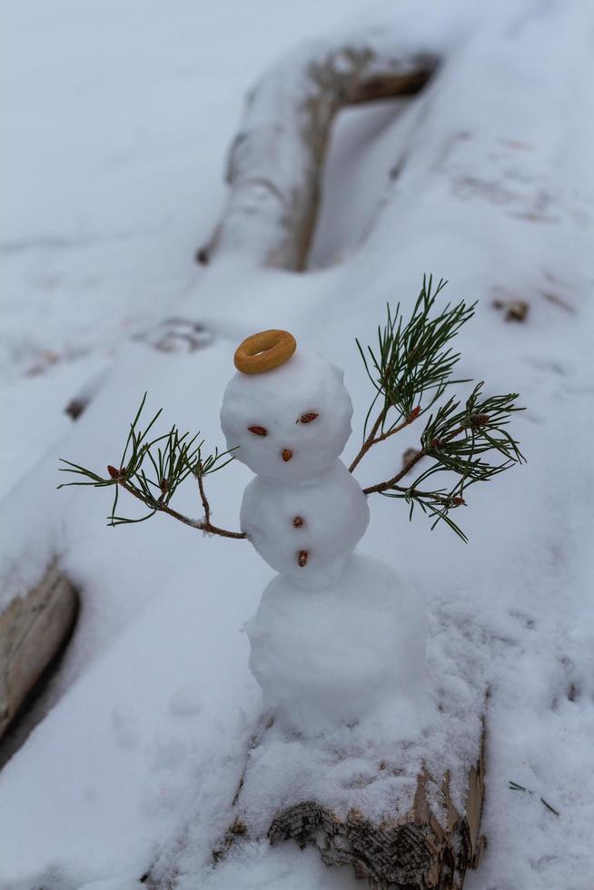 pequeño muñeco de nieve con manos de rama de pino foto