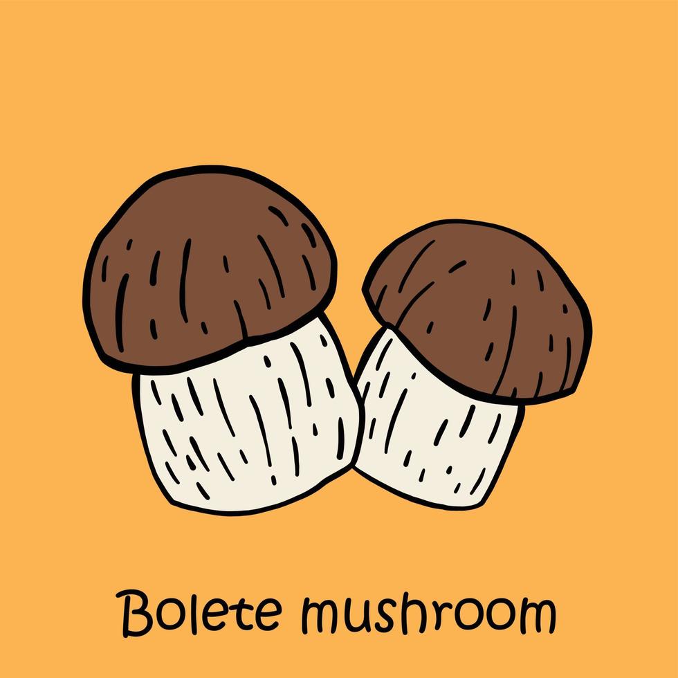 Doodle dibujo a mano alzada de seta bolete. vector