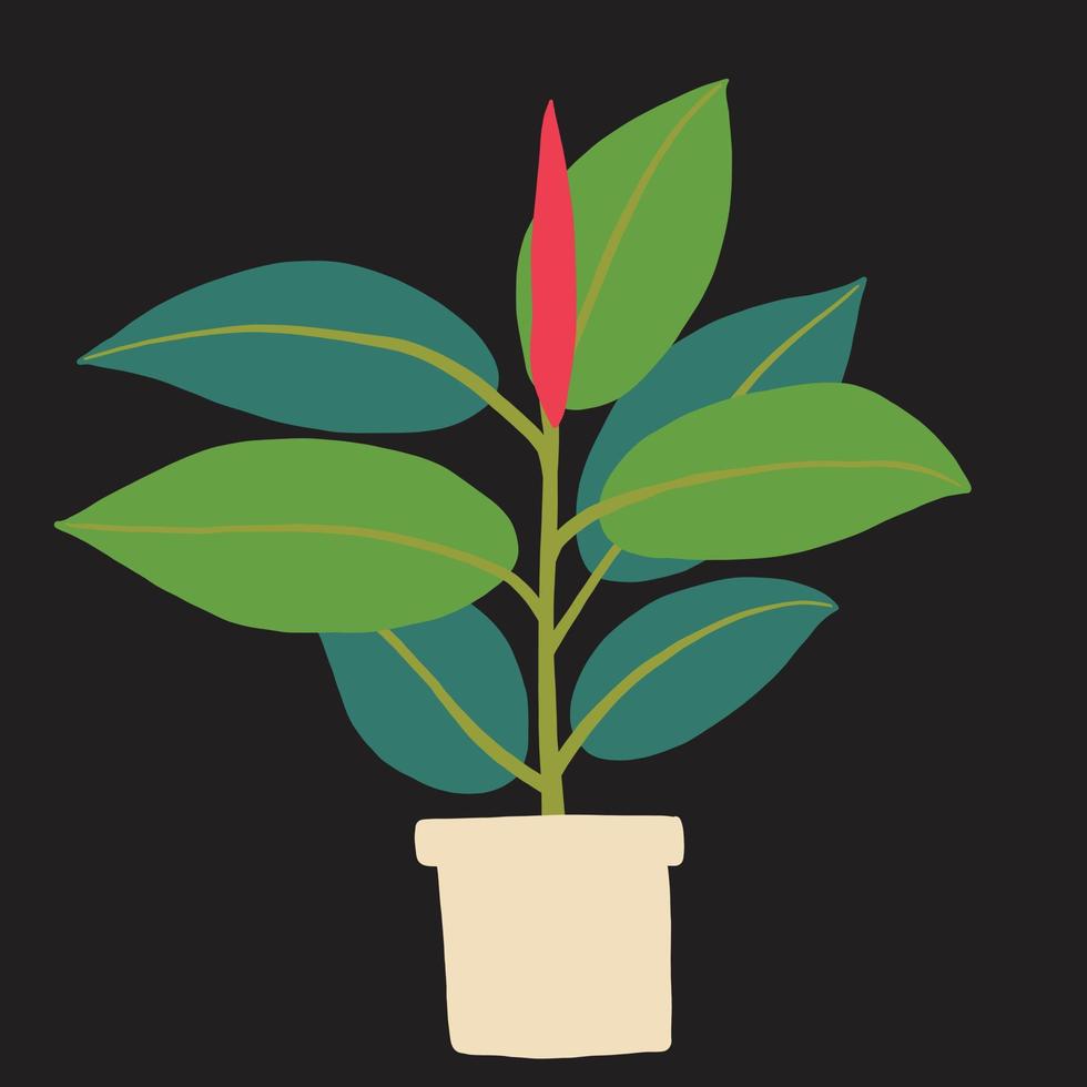 simplicity rubber fig plant freehand drawing flat design. vector