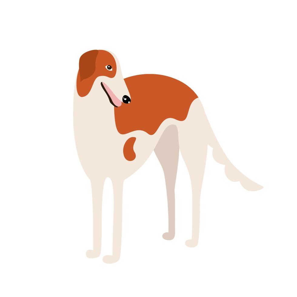 Galgo ruso o raza de perro borzoi. perro de dibujos animados aislado sobre fondo blanco. ilustración vectorial de un piso para mascotas vector