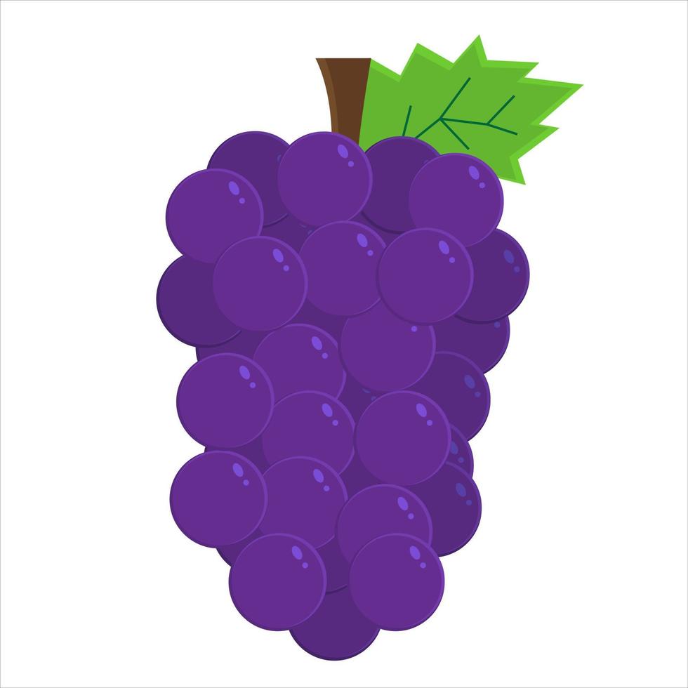 Grape vector ilustration can be used for business