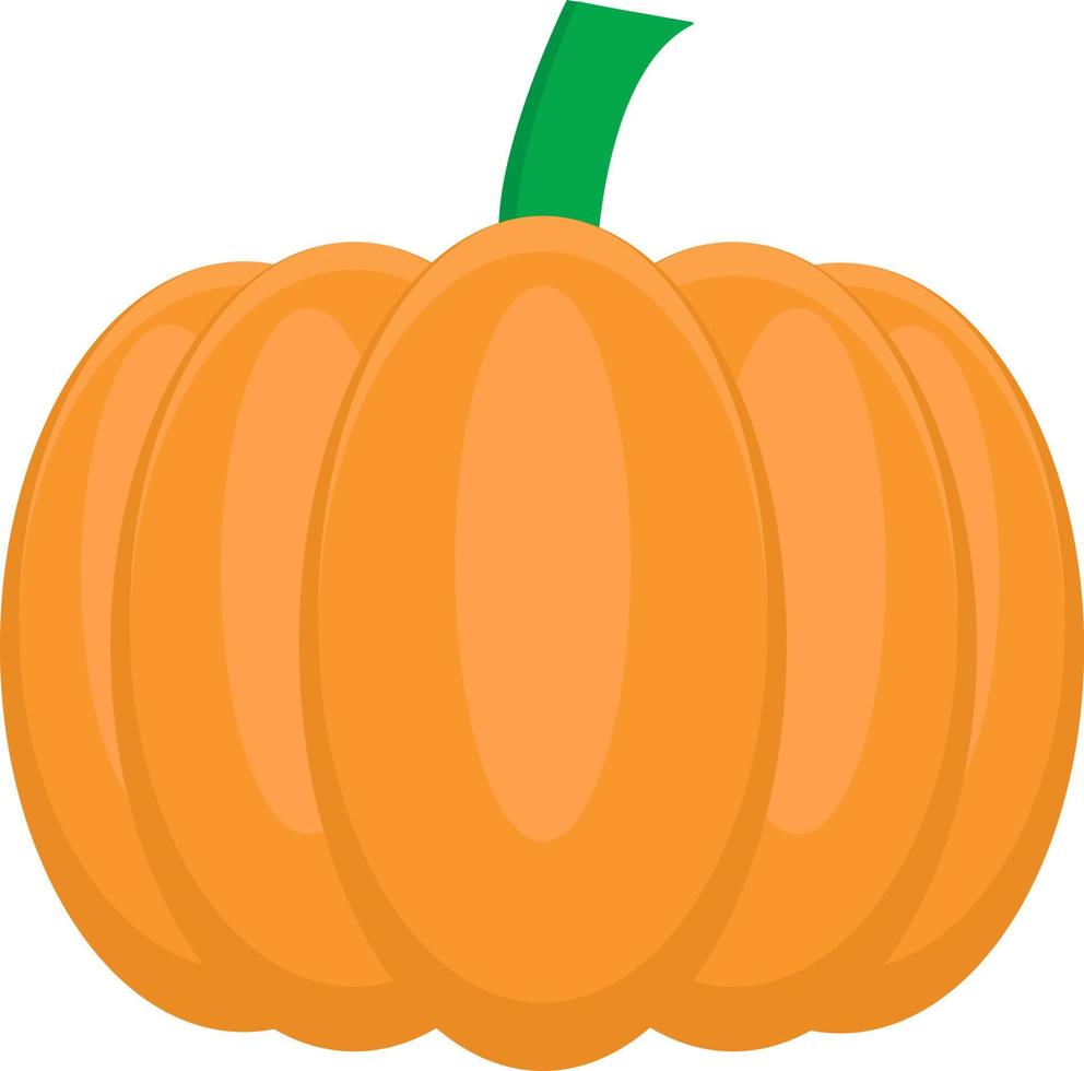 Pumpkin vector ilustration can be used for business