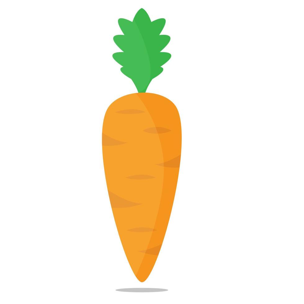 Carrot graphic design. Carrot vector. Carrot icon. vector