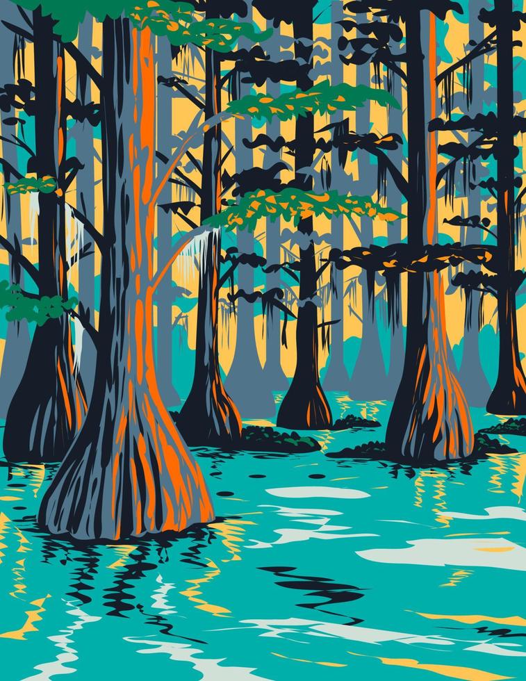 Caddo Lake State Park con cipreses calvos en el condado de Harrison y Marion East Texas, EE. UU., Wpa poster art vector