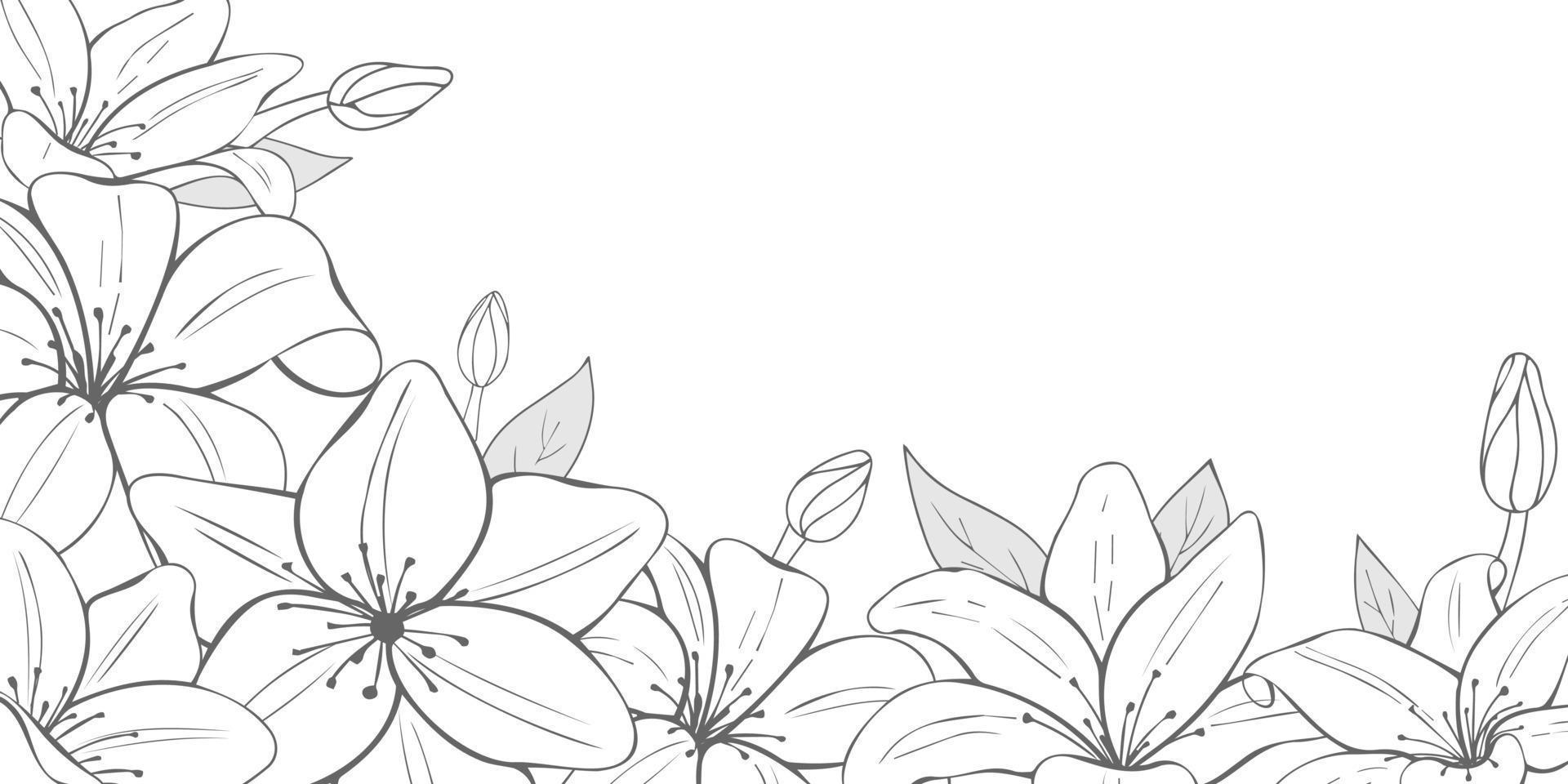 Monochrome flowers on white background. Hand drawn lilies. Horizontal flyer. Vector illustration. Black and white.