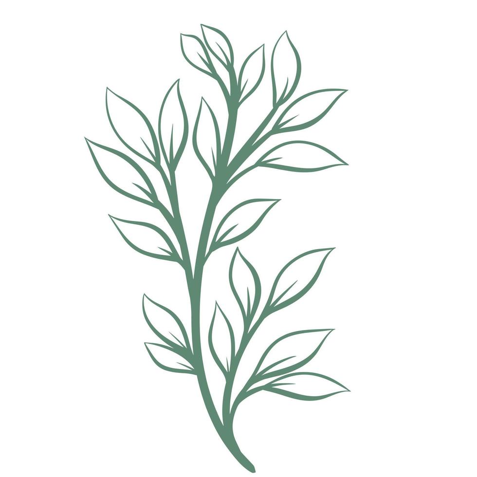 Greenery branch isolated vector illustration