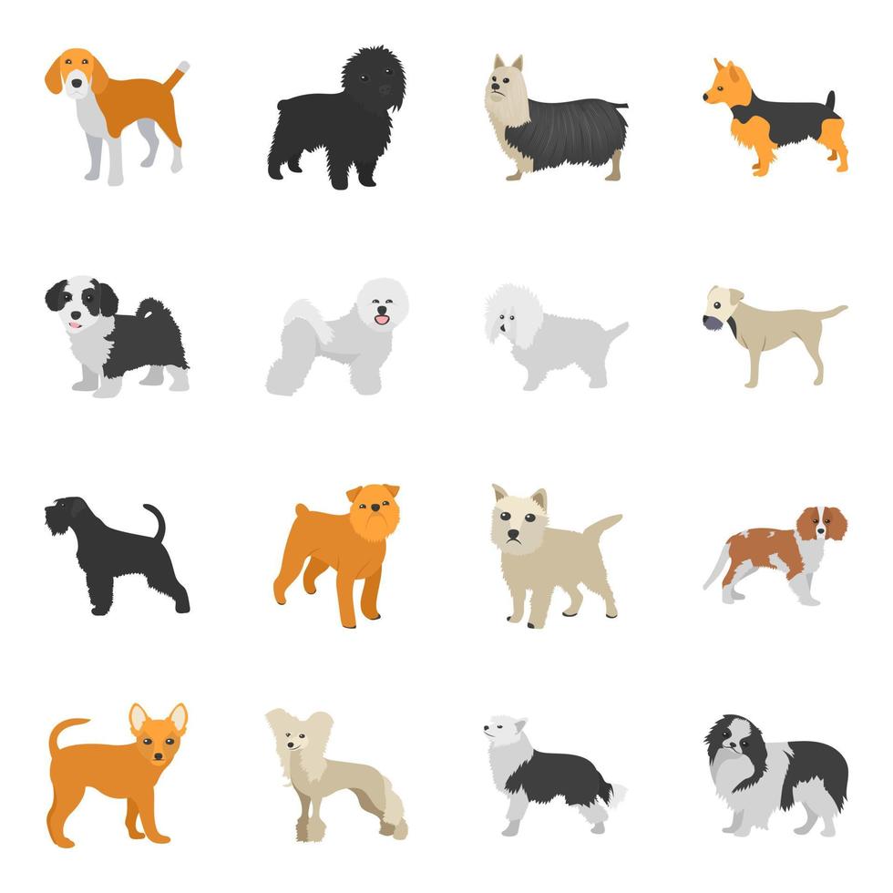 conceptos de razas de perros vector