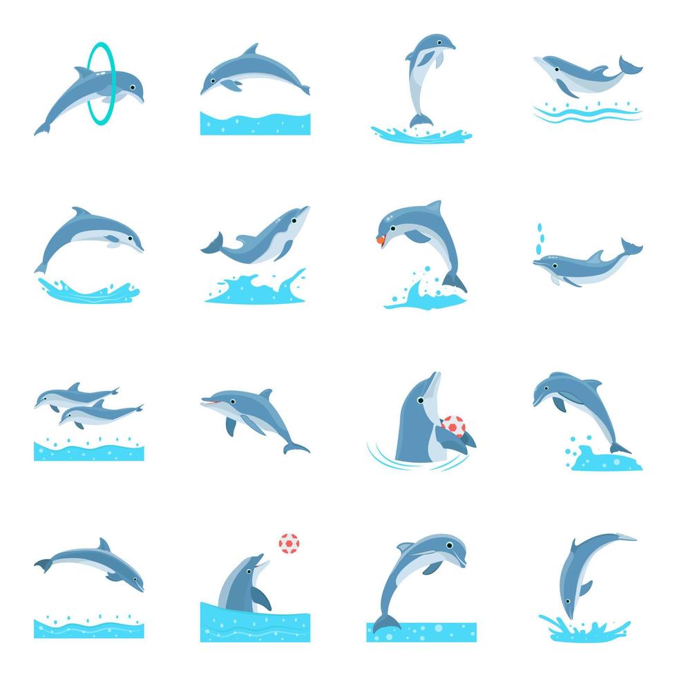 conceptos de delfines de dibujos animados vector