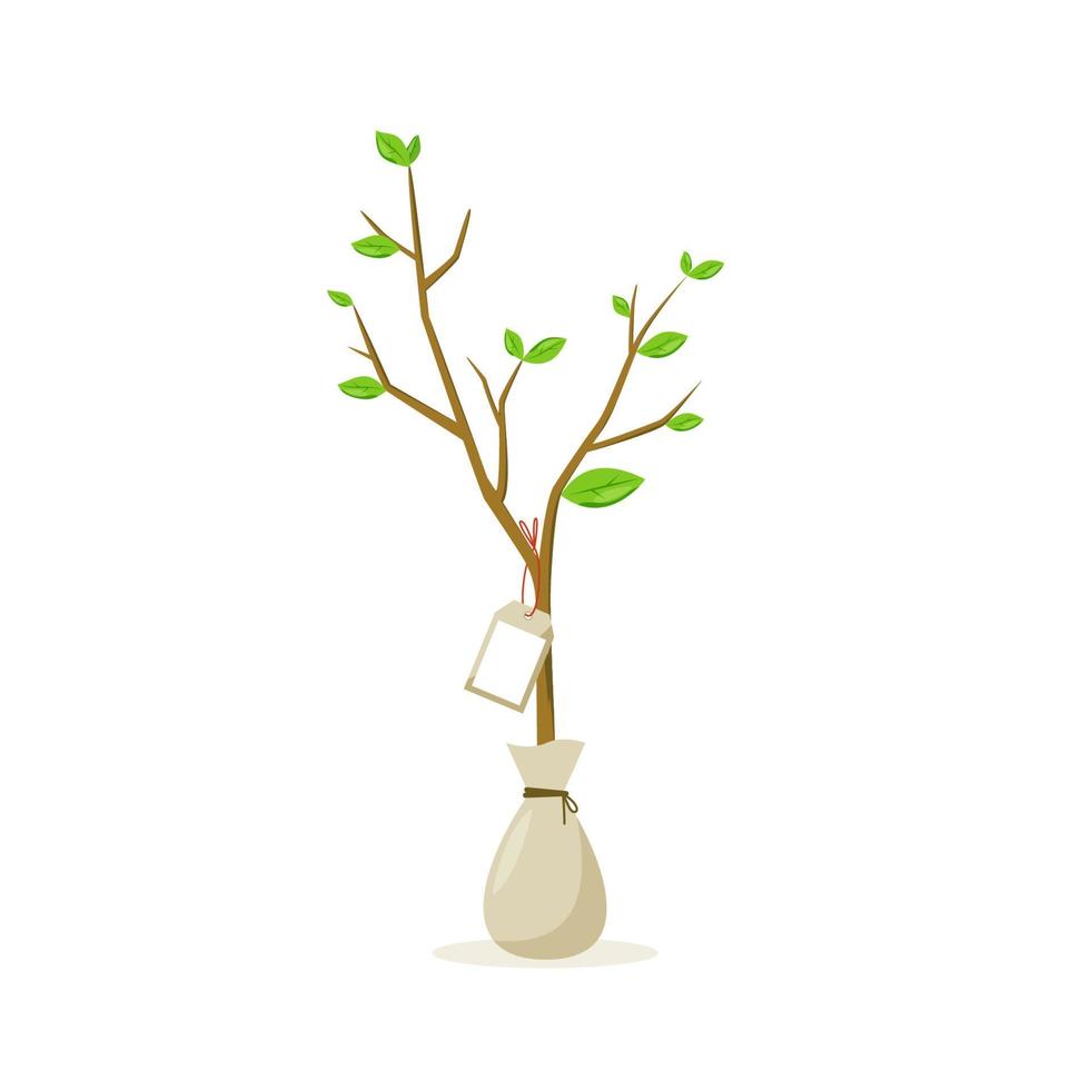 concepto de ilustración de árbol joven en bolsa vector