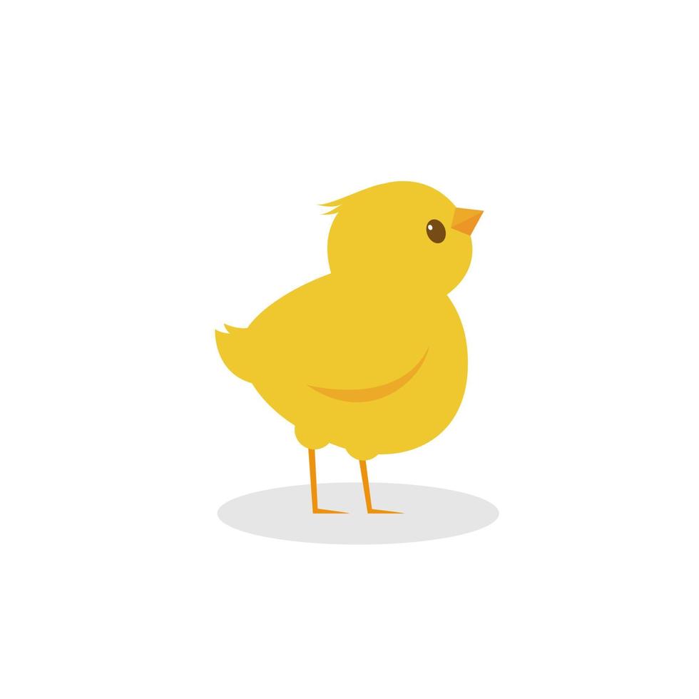 ilustración vectorial de un pollo vector