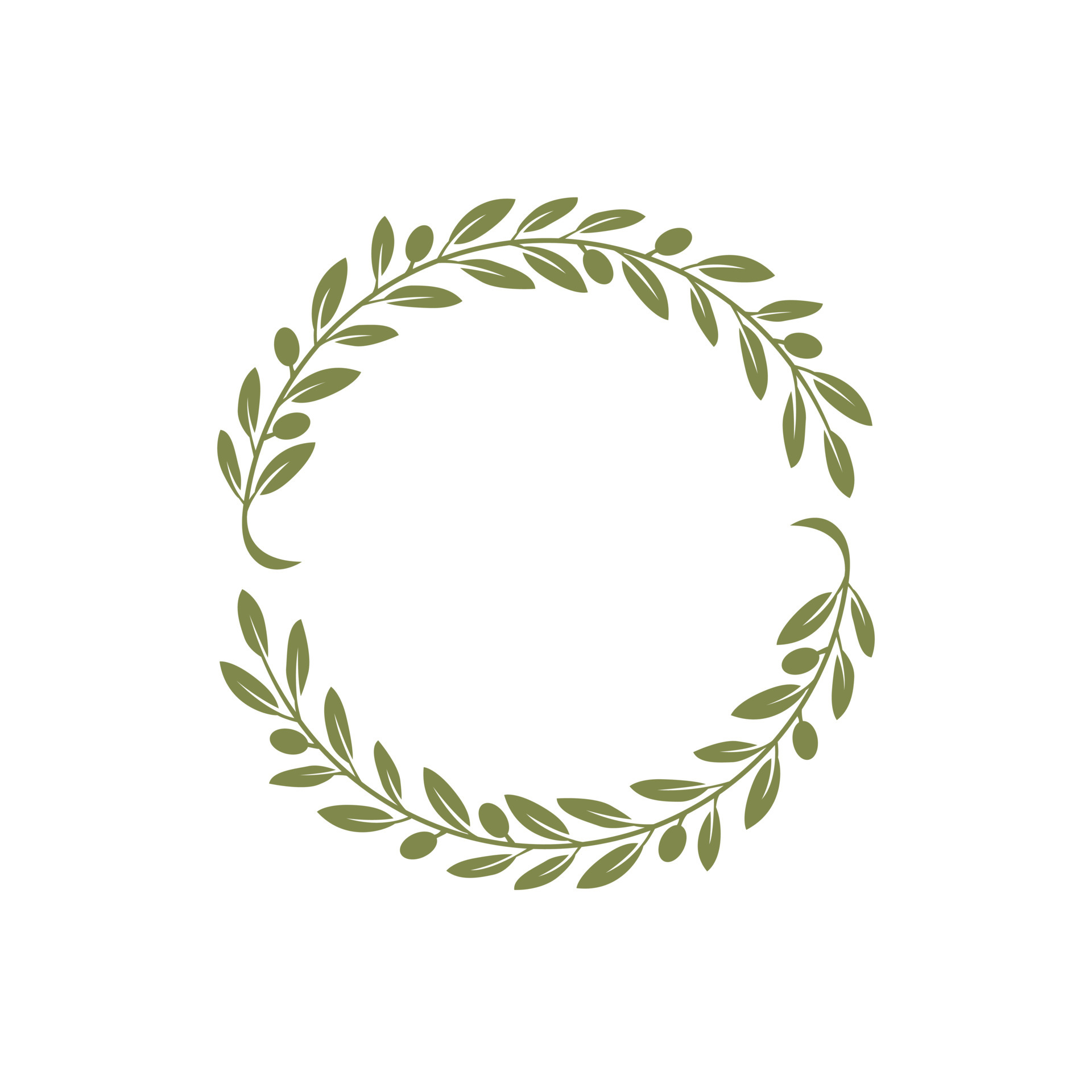 circle olive branch vector illustration on white background. 4785344