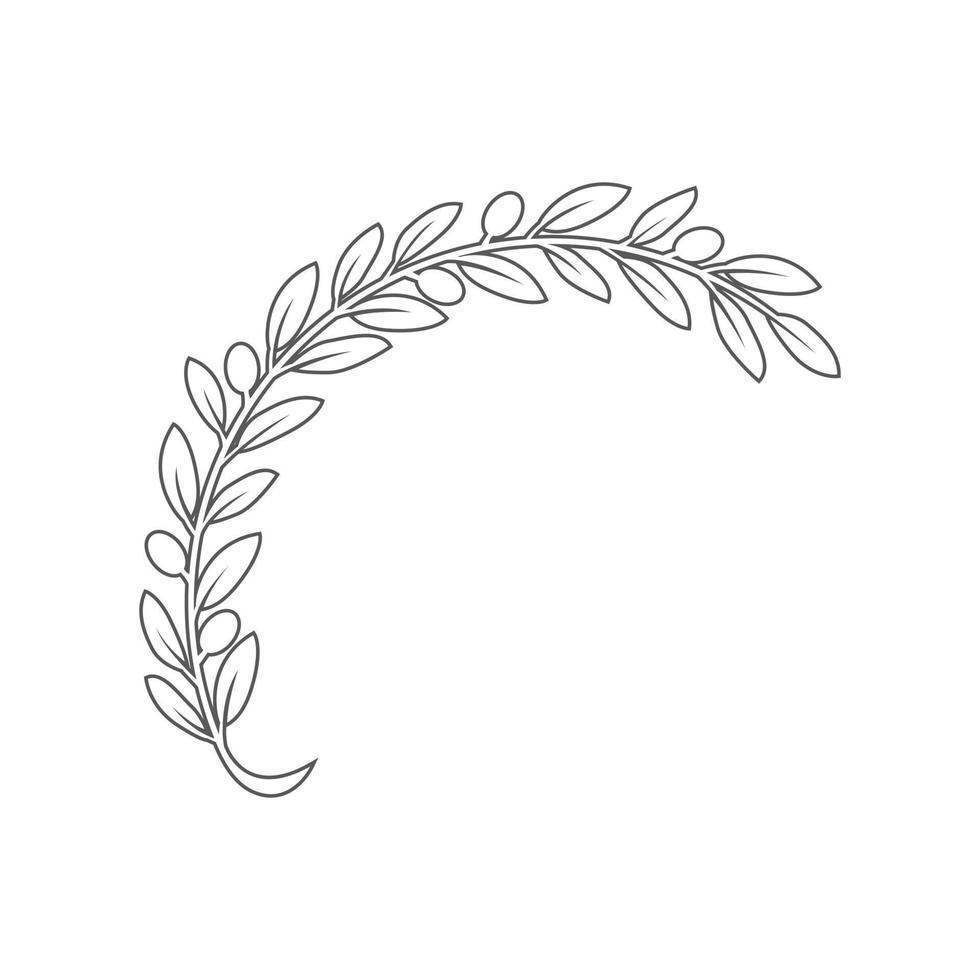 line icon olive branch leaf isolated on white background. vector