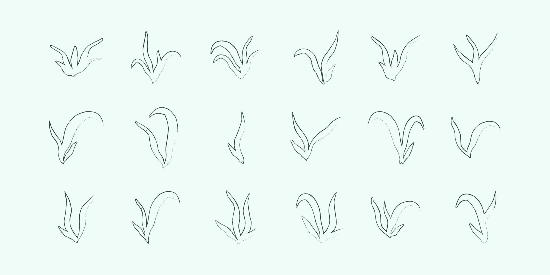 set of lineart seaweed algae aquatic water plant grass for aquarium. isolated on white vector hand drawn illustration in doodle style.