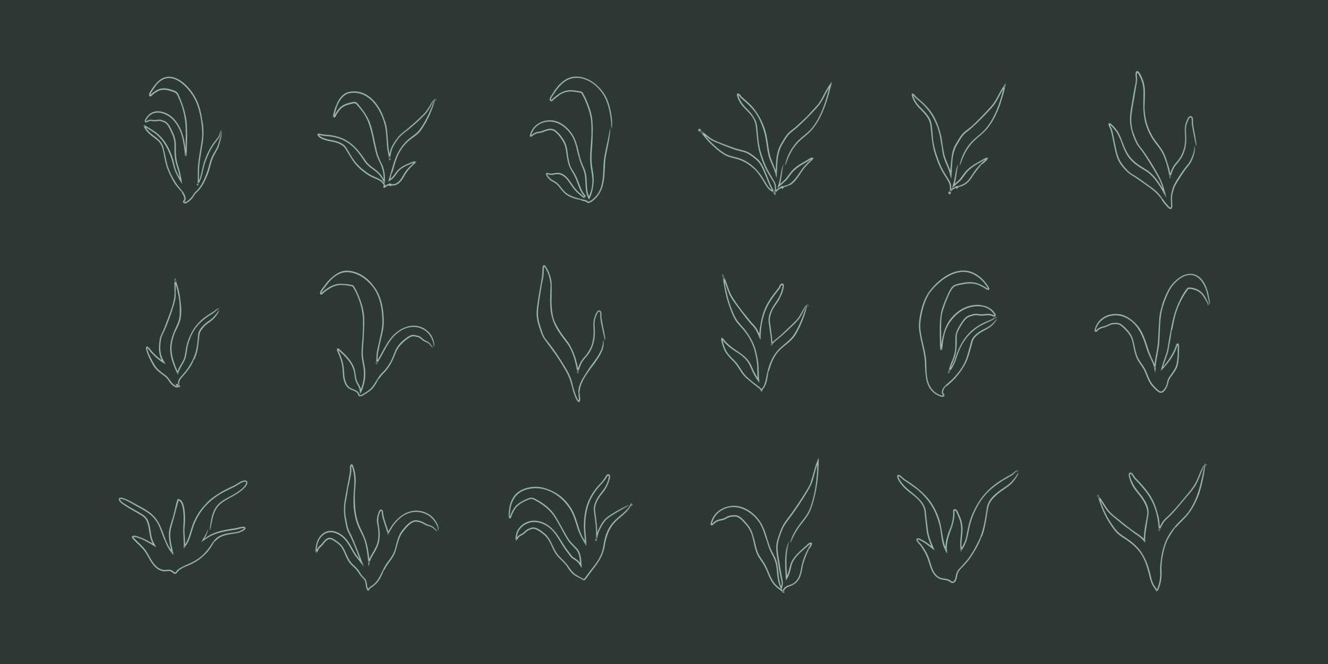 lineart seaweed set algae aquatic water plant grass for aquarium. isolated vector hand drawn illustration in doodle style.